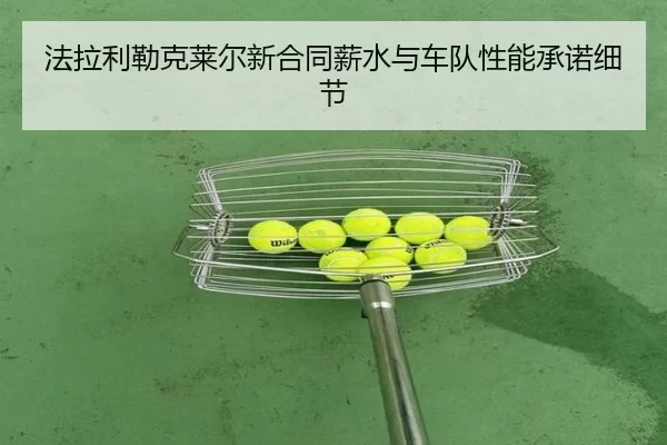 fa-la-li-lei-ke-lai-er-xin-he-tong-xin-shui-yu-che-dui-xing-neng-cheng-nuo-xi-jie-2-668.jpg